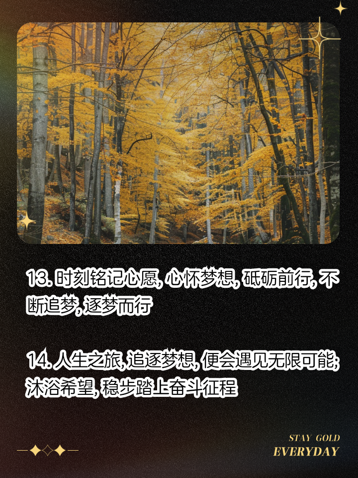 美国无畏前行：欧锦赛追逐梦想之旅