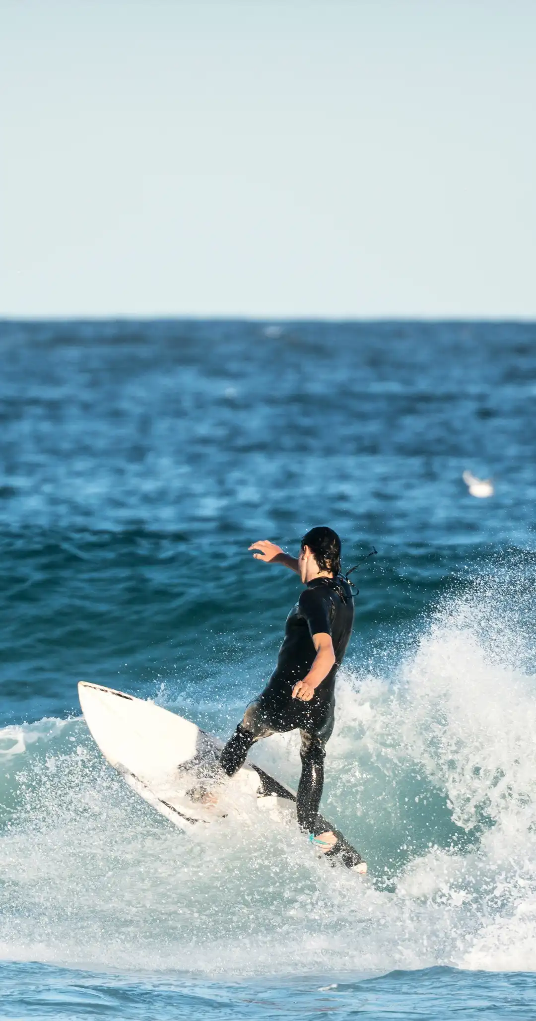 威廉希尔官网-墨西哥帆船选手秀出绝技，技压群雄